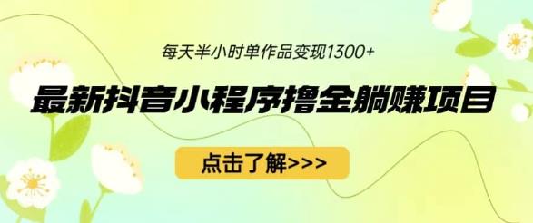 最新抖音小程序撸金躺赚项目，一部手机每天半小时，单个作品变现1300+【揭秘】-秀人资源网