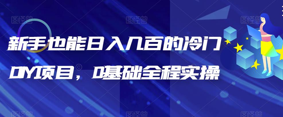 新手也能日入几百的冷门DIY项目，0基础全程实操【揭秘】-秀人资源网