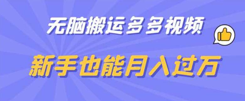 无脑搬运多多视频，新手也能月入过万【揭秘】-秀人资源网