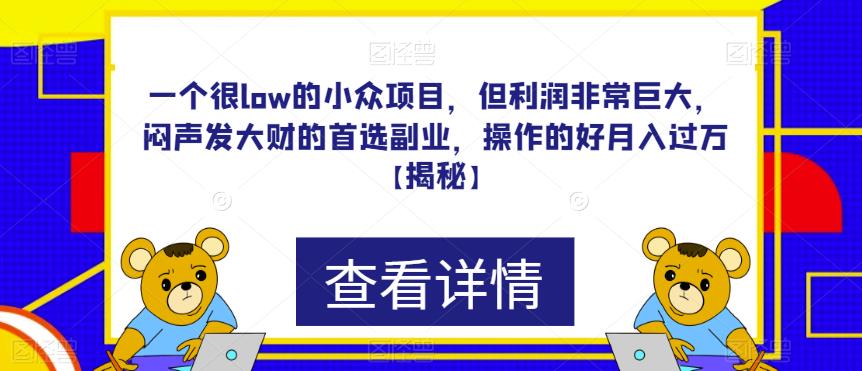 一个很low的小众项目，但利润非常巨大，闷声发大财的首选副业，操作的好月入过万【揭秘】-秀人资源网