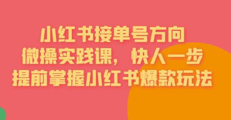 接单号方向·小红书微操实践课，快人一步，提前掌握小红书爆款玩法-秀人资源网