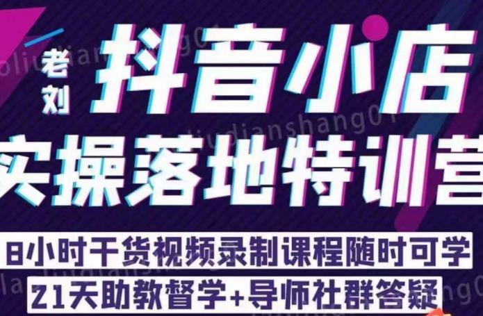 老刘·抖店商品卡流量，​抖音小店实操落地特训营，8小时干货视频录制课程随时可学-整合资源网