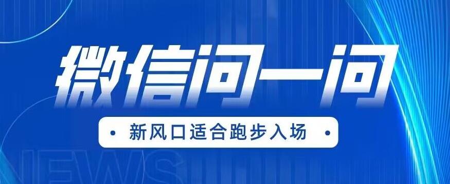 全网首发微信问一问新风口变现项目（价值1999元）【揭秘】-秀人资源网