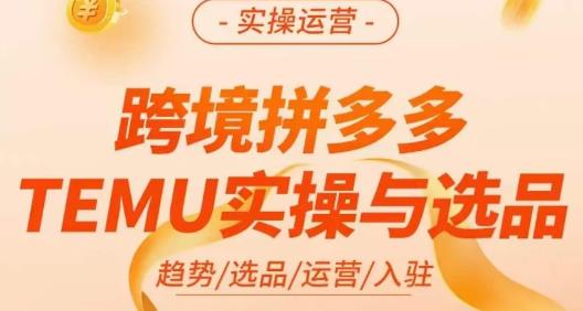 伍跃·跨境拼多多TEMU实操与选品，​趋势/选品/运营/入住（27节完整）-秀人资源网