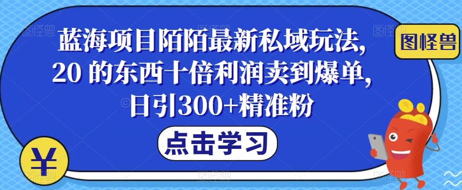 蓝海项目陌陌最新私域玩法，20 的东西十倍利润卖到爆单，日引300+精准粉【揭秘】-整合资源网