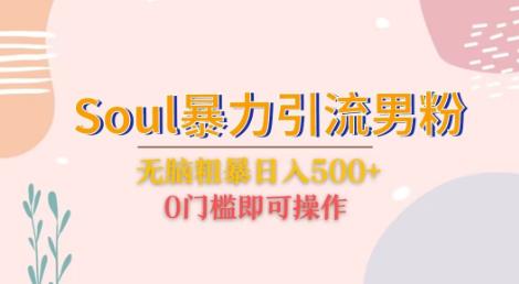 Soul暴力引流男粉玩法，无脑粗暴日入500＋，0门槛即可操作【揭秘】-秀人资源网