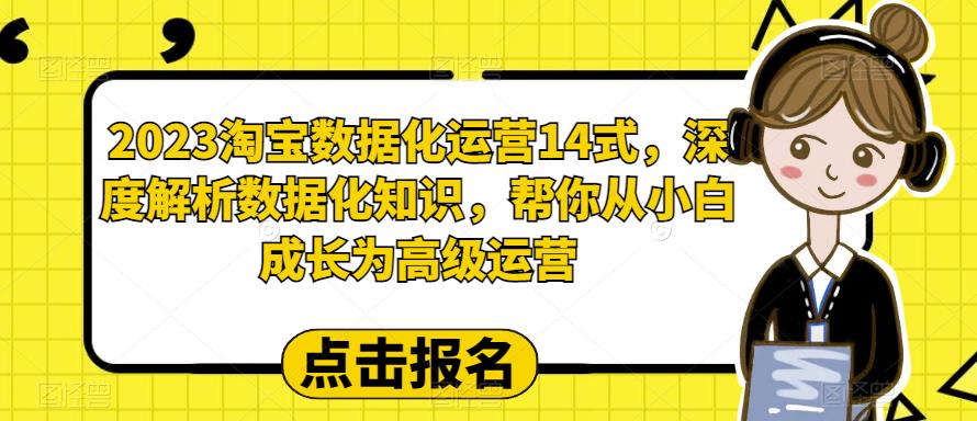 2023淘宝数据化运营14式，深度解析数据化知识，帮你从小白成长为高级运营-秀人资源网