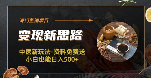 冷门蓝海项目-中医新玩法-资料免费送小白也能日入500+【揭秘】-秀人资源网