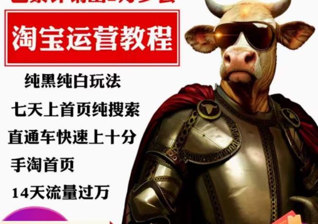 猫老师·淘系算法逆向解密，​纯黑纯白玩法，七天上首页纯搜索，手淘首页14天流量过万-秀人资源网