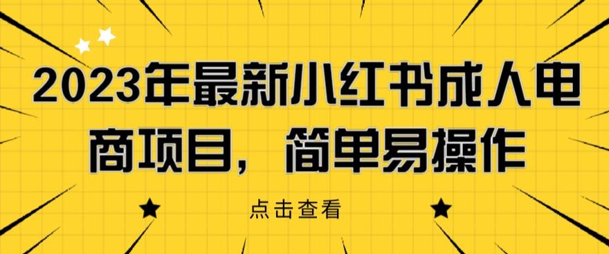 2023年最新小红书成人电商项目，简单易操作【详细教程】【揭秘】-整合资源网