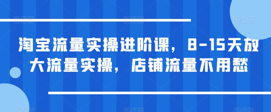 淘宝流量实操进阶课，8-15天放大流量实操，店铺流量不用愁-秀人资源网