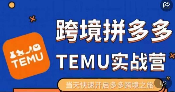 大鹏出海·拼多多跨境temu运营指导，开店注册+选品+核价上架，日出千单实战课-秀人资源网