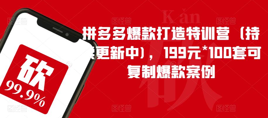拼多多爆款打造特训营（持续更新中)，199元*100套可复制爆款案例-秀人资源网