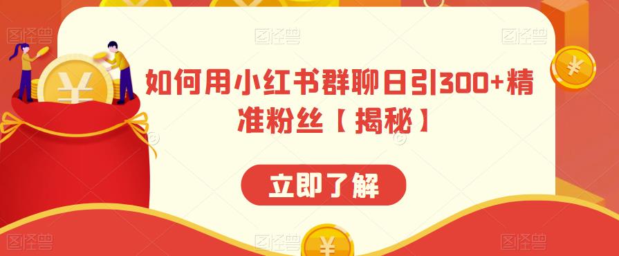 如何用小红书群聊日引300+精准粉丝【揭秘】-整合资源网