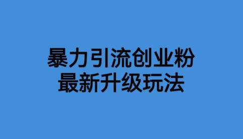 价值1980一千个野路子暴力引流最新升级玩法【揭秘】-秀人资源网