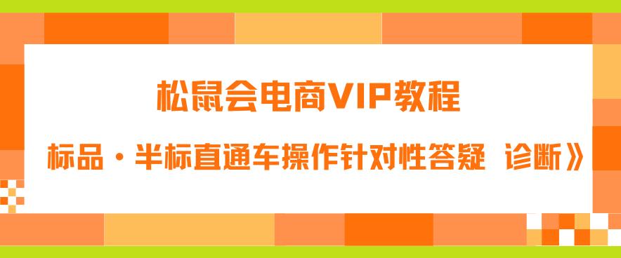 松鼠会电商VIP教程：松鼠《付费推广标品·半标直通车操作针对性答疑&诊断》-整合资源网