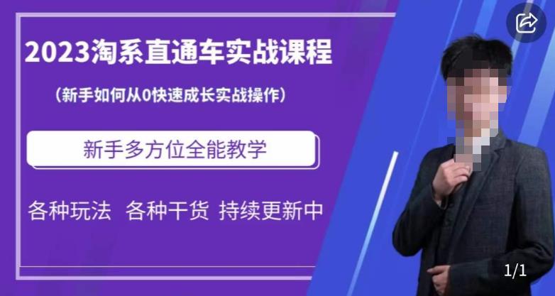 2023淘系直通车保姆式运营讲解，新手如何从0快速成长实战操作，新手多方位全能教学-整合资源网