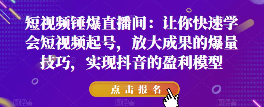 短视频锤爆直播间：让你快速学会短视频起号，放大成果的爆量技巧，实现抖音的盈利模型-秀人资源网