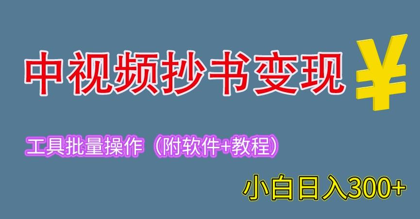 2023中视频抄书变现（附工具+教程），一天300+，特别适合新手操作的副业（揭秘）-秀人资源网