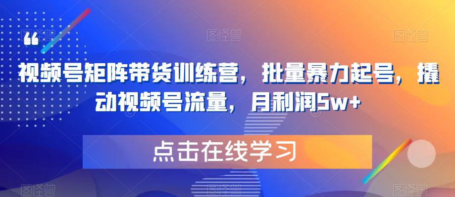 视频号矩阵带货训练营，批量暴力起号，撬动视频号流量，月利润5w+-秀人资源网