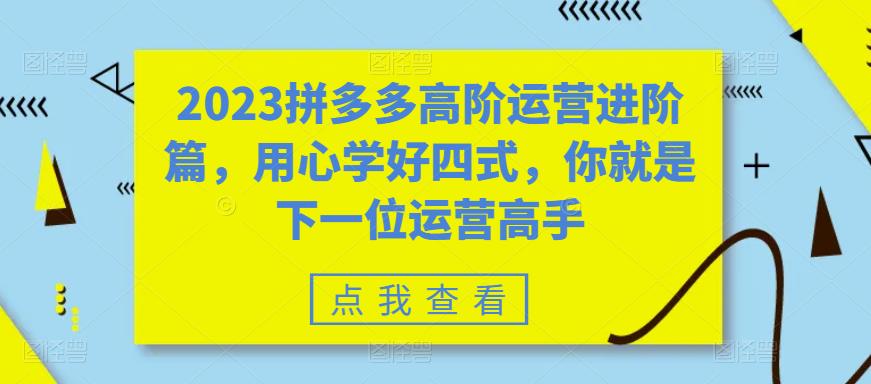 2023拼多多高阶运营进阶篇，用心学好四式，你就是下一位运营高手-秀人资源网