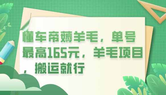 懂车帝薅羊毛，单号最高165元，羊毛项目，搬运就行【揭秘】-秀人资源网