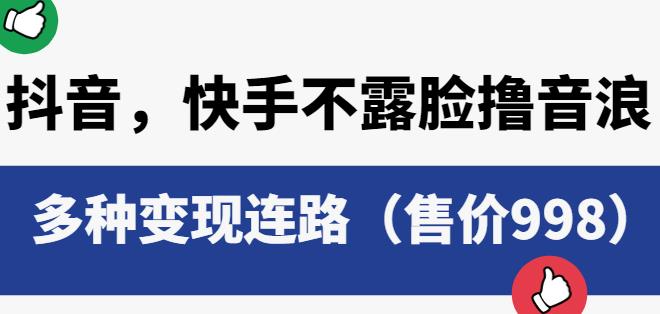 抖音快手不露脸撸音浪项目，多种变现连路（售价998）-整合资源网