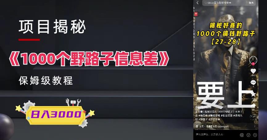 1000个野路子信息差保姆式教程-单日变现3000+的玩法解密-秀人资源网
