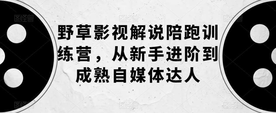 野草影视解说陪跑训练营，从新手进阶到成熟自媒体达人-整合资源网