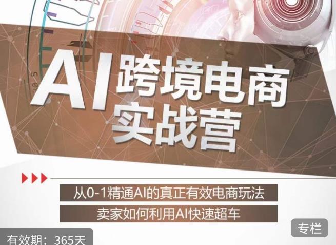 白龙老师·AI跨境电商实战营：从0-1精通Al的真正有效电商玩法，卖家如何利用Al快速超车-秀人资源网