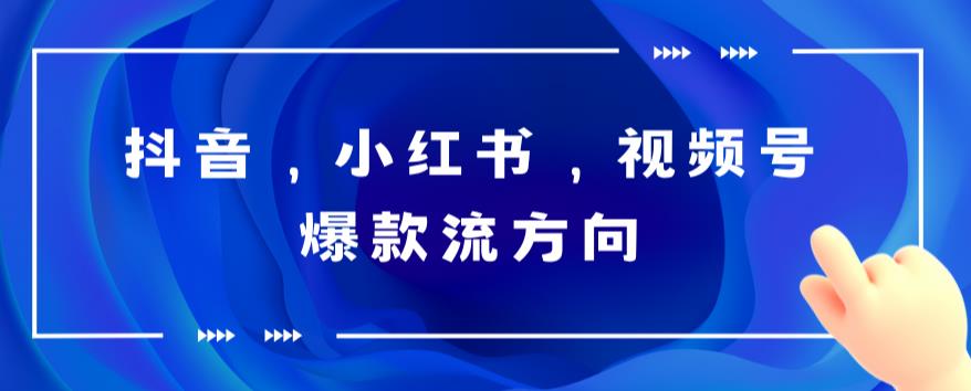 抖音，小红书，视频号爆款流视频制作，简单制作掌握流量密码-整合资源网