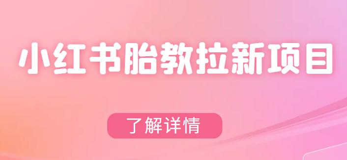 小红书胎教网盘拉新项目，可在私域变现两次（作品制作教程+素材）-整合资源网