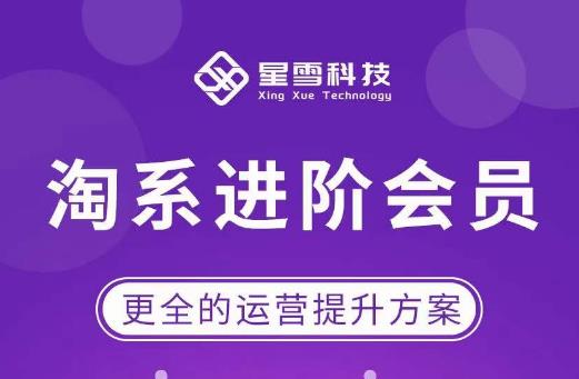 星雪·淘系进阶课程，快速提升突破技能流量瓶颈必备（更新2023年5月）-整合资源网