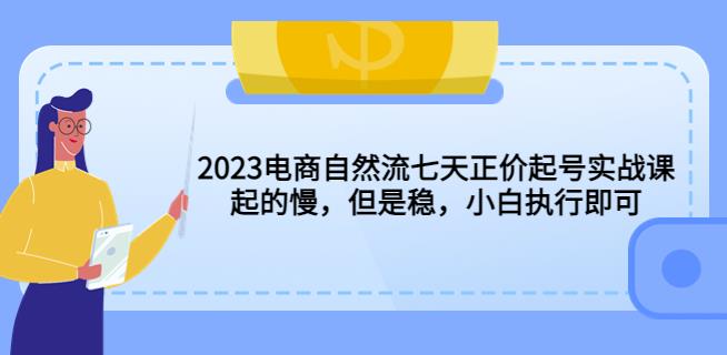 2023电商自然流七天正价起号实战课：起的慢，但是稳，小白执行即可！-秀人资源网
