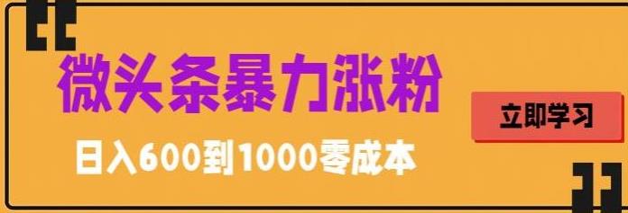 微头条暴力涨粉技巧搬运文案就能涨几万粉丝，简单0成本，日赚600【揭秘】-秀人资源网