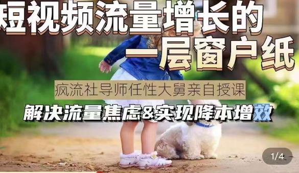 任性大舅·宠物行业短视频运营课(不讲废话)，短视频流量增长的一层窗户纸，解决流量焦虑&实现降本增效-整合资源网