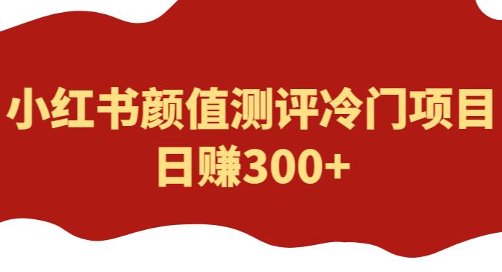 外面1980的项目，小红书颜值测评冷门项目，日赚300+【揭秘】-整合资源网