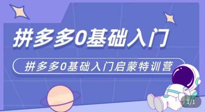 拼多多运营0-1实操特训营，拼多多0基础入门，从基础到进阶的可实操玩法-整合资源网