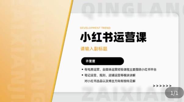 许筐筺·小红书运营课，​笔记运营、规则、店铺运营等模块讲解，学会自己独立运营小红书账号-秀人资源网
