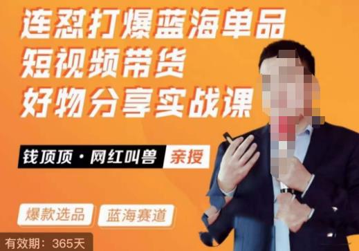 网红叫兽·连怼打爆蓝海单品，短视频带货好物分享实战课-秀人资源网