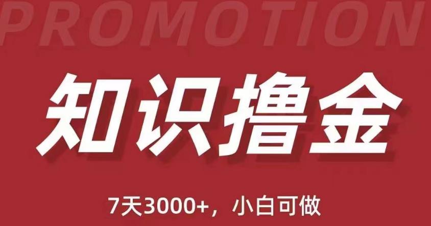 抖音知识撸金项目：简单粗暴日入1000+执行力强当天见收益(教程+资料)-秀人资源网