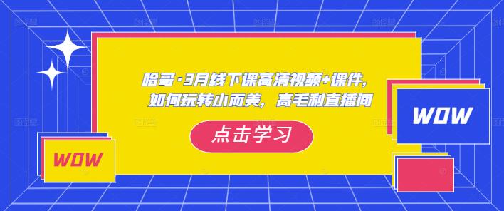 哈哥·3月线下实操课高清视频+课件，如何玩转小而美，高毛利直播间-秀人资源网