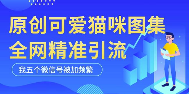 黑科技纯原创可爱猫咪图片，全网精准引流，实操5个VX号被加频繁-秀人资源网