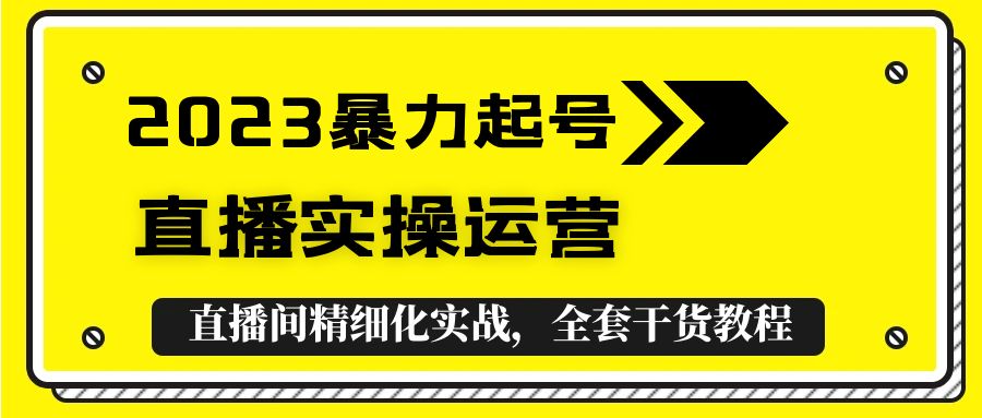 2023暴力起号+直播实操运营，全套直播间精细化实战，全套干货教程！-整合资源网