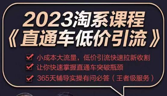 2023直通车低价引流玩法课程，小成本大流量，低价引流快速拉新收割，让你快速掌握直通车突破瓶颈-秀人资源网