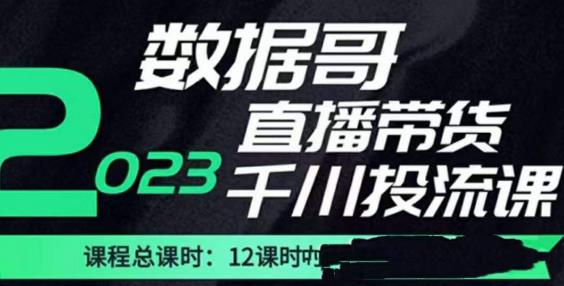 数据哥2023直播电商巨量千川付费投流实操课，快速掌握直播带货运营投放策略-整合资源网