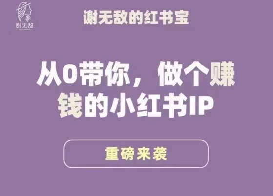 谢无敌·小红书运营大宝典，从0带你做个赚钱的小红书IP-秀人资源网