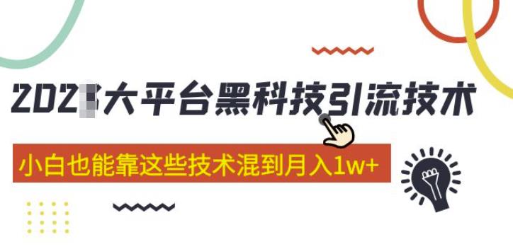 大平台黑科技引流技术，小白也能靠这些技术混到月入1w+(2022年的课程）-整合资源网