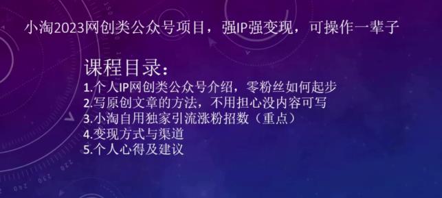 小淘2023网创类公众号项目，强IP强变现，可操作一辈子-秀人资源网