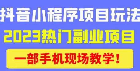 抖音小程序9.0新技巧，2023热门副业项目，动动手指轻松变现-秀人资源网